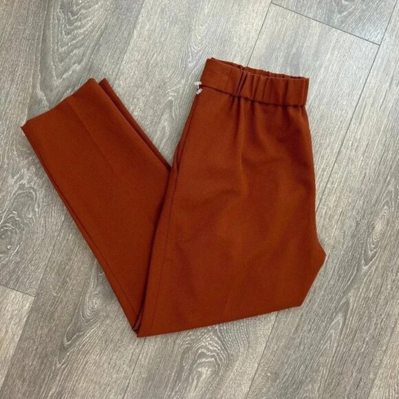 Aritzia Babaton Cohen Pant High Rise Waist Trousers Straight Leg Pleated Rust 2 - Picture 2 of 14